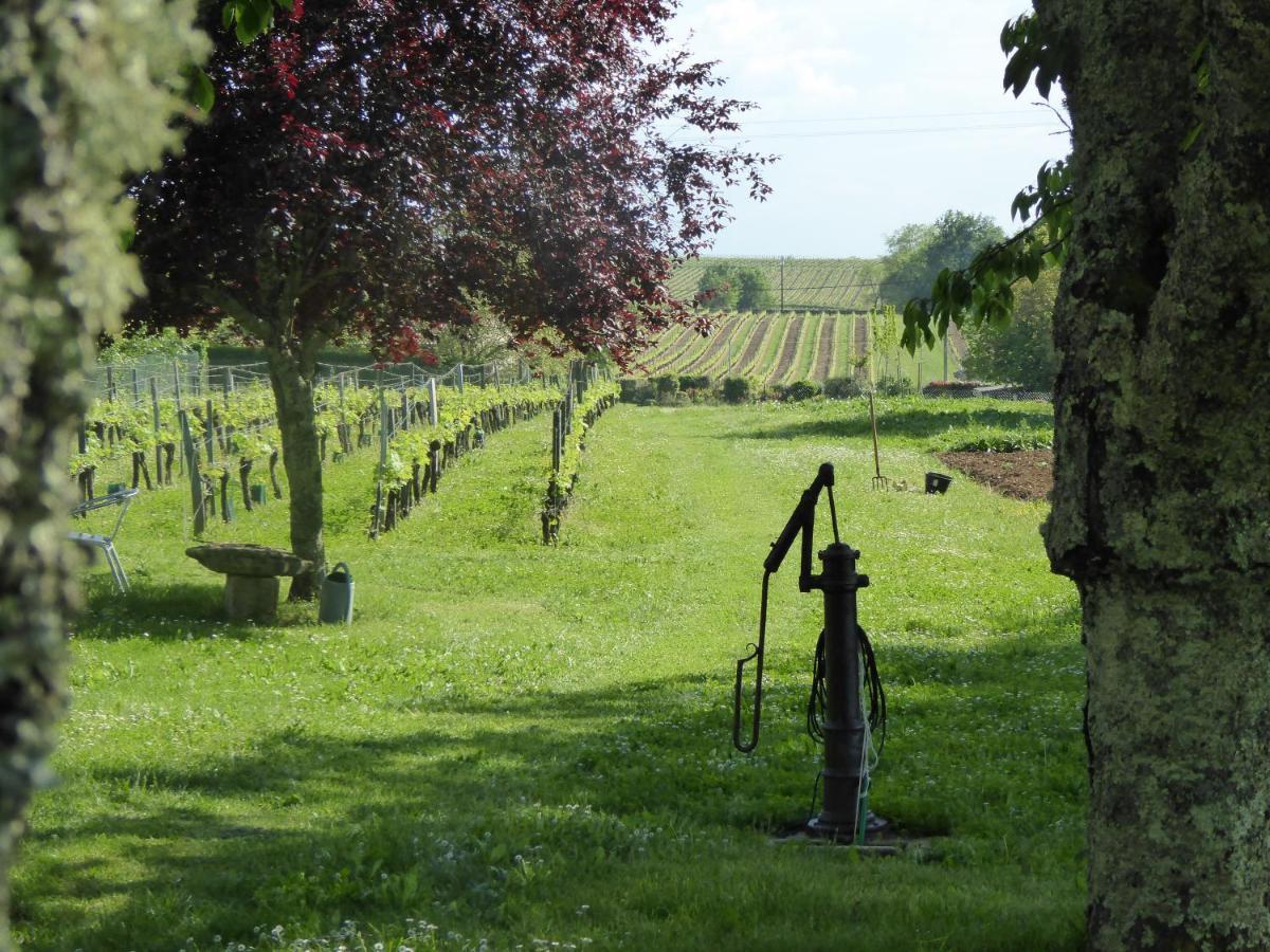 La Vigneraie De Laura: Gite Entre Vignes Et Chenes Sainte-Colombe  Exterior photo